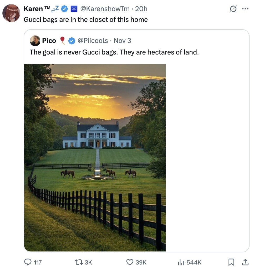 @KarenshowTm.20h Karen TM zzZ s ... Gucci bags are in the closet of this home Pico @Piicools Nov 3 The goal is never Gucci bags. They are hectares of land. 117 3K 39K del 544K 