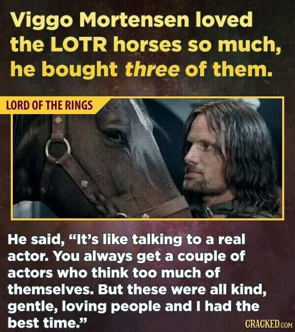 Viggo Mortensen loved the LOTR horses so much, he bought three of them. LORD OF THE RINGS Не said, It's like talking to a real actor. You always get a couple of actors who think too much of themselves. But these were all kind, gentle, loving people and I had the best time. CRACKED.COM
