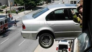 Photos That Will Have Darwin Rolling Over in His Grave