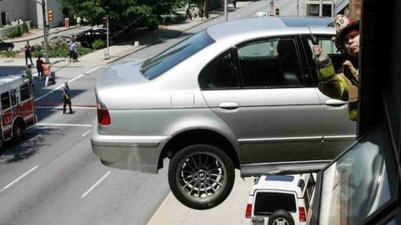 Photos That Will Have Darwin Rolling Over in His Grave