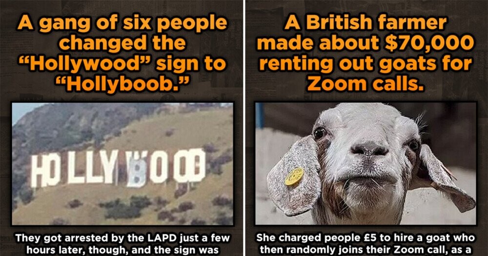 11 Weird Real Things That Just Happened Cracked
