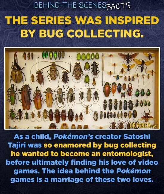 BEHIND-THE-SCENESPACTS THE SERIES WAS INSPIRED BY BUG COLLECTING. GRACKED.COM As a child, Pokémon's creator Satoshi Tajiri was so enamored by bug collecting he wanted to become an entomologist, before ultimately finding his love of video games. The idea behind the Pokémon games is a marriage of these two loves.
