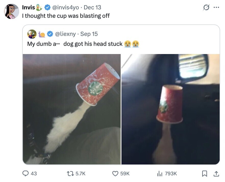 Invis G ... @invis4yo Dec 13 I thought the cup was blasting off @liexny Sep 15 My dumb a** dog got his head stuck 43 5.7K 59K . 793K