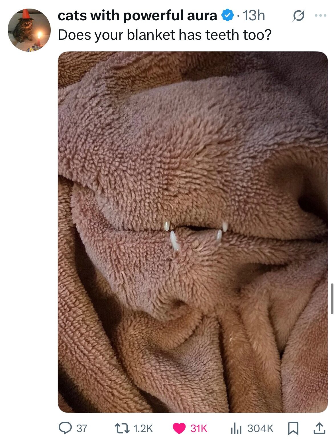 cats with powerful aura 13h S ... Does your blanket has teeth too? 37 1.2K 31K 304K 