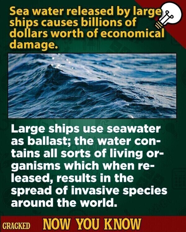 Sea water released by large ships causes billions of dollars worth of economical damage. Large ships use seawater as ballast; the water con- tains all sorts of living or- ganisms which when re- leased, results in the spread of invasive species around the world. CRACKED NOW YOU KNOW