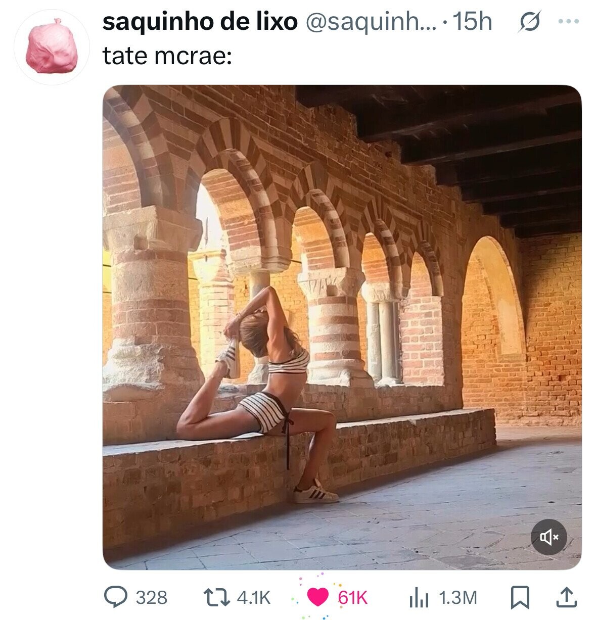 saquinho de lixo @saquinh... . 15h s ... tate mcrae: 328 61K 4.1K 1.3M 