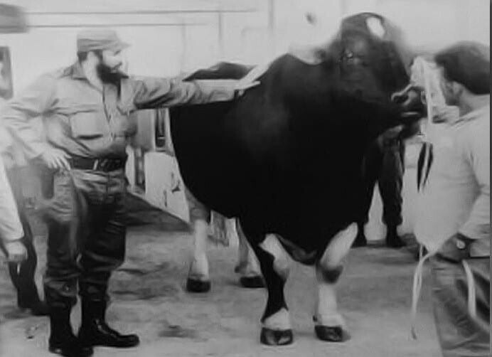 Evil Dictators With Some Surprisingly Petty Hobbies