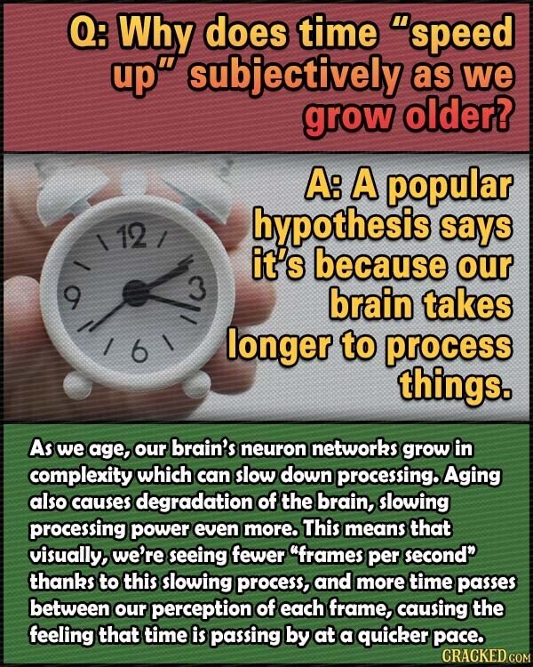 Q: Why does time speed up subjectively as we grow older? A: A popular hypothesis says 9 - I / 12 6 I / it's because our 3 brain takes longer to process things. As we age, our brain's neuron networks grow in complexity which can slow down processing. Aging also causes degradation of the brain, slowing processing power even more. This means that visually, we're seeing fewer frames per second thanks to this slowing process, and more time passes between our perception of each frame, causing the feeling that time is passing by at a quicker pace. CRACKED.COM