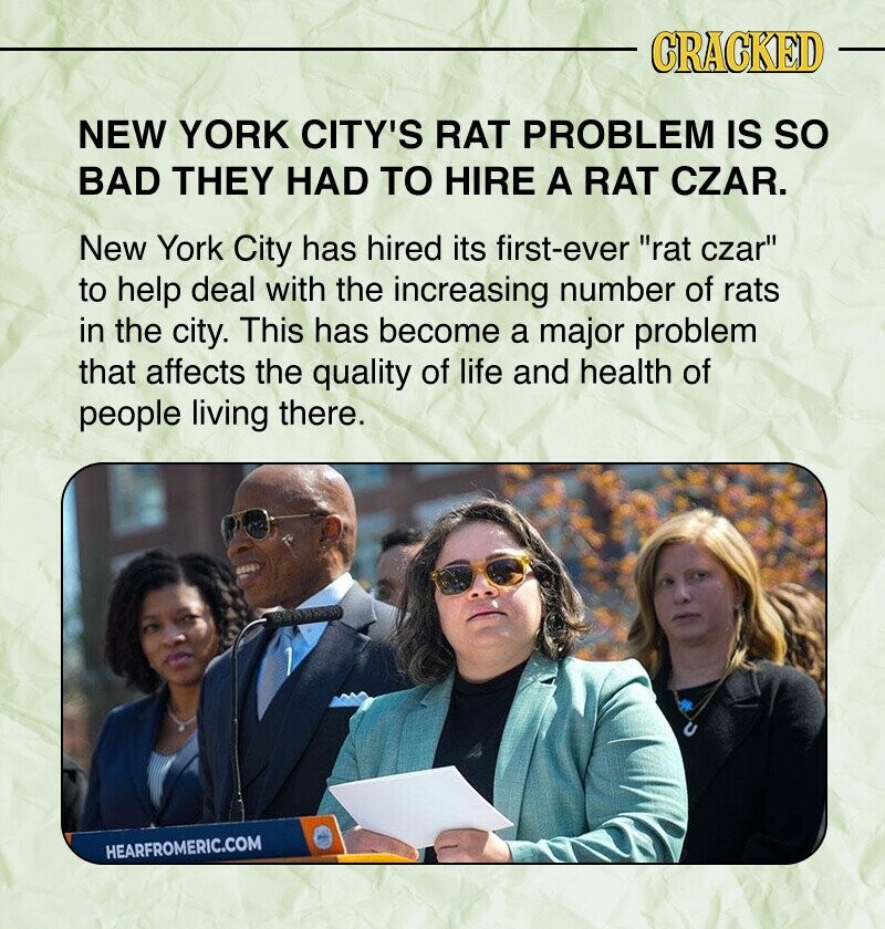 CRACKED NEW YORK CITY'S RAT PROBLEM IS so BAD THEY HAD TO HIRE A RAT CZAR. New York City has hired its first-ever rat czar to help deal with the increasing number of rats in the city. This has become a major problem that affects the quality of life and health of people living there. HEARFROMERIC.COM