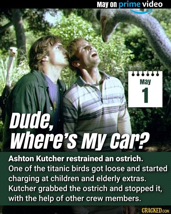 May on prime video May 1 Dude, Where's My car? Ashton Kutcher restrained an ostrich. One of the titanic birds got loose and started charging at children and elderly extras. Kutcher grabbed the ostrich and stopped it, with the help of other crew members. CRACKED.COM