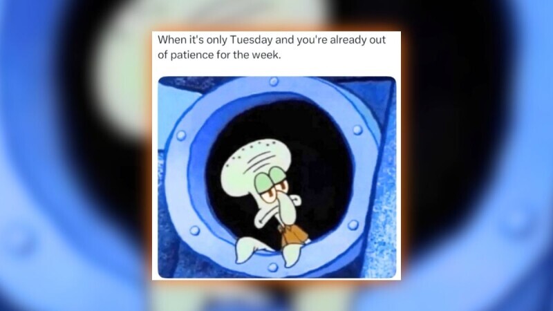 ‘Tues-Day or Tues-Slay?’: 20 Memes to make this the best day of the week (August 4, 2026)