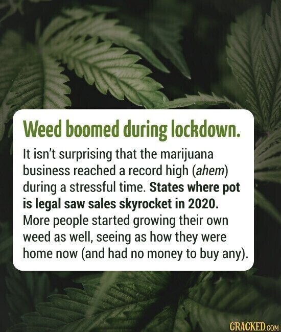 Weed boomed during lockdown. It isn't surprising that the marijuana business reached a record high (ahem) during a stressful time. States where pot is legal saw sales skyrocket in 2020. More people started growing their own weed as well, seeing as how they were home now (and had no money to buy any). CRACKED.COM