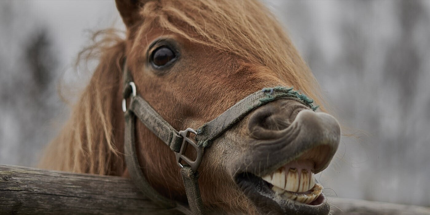 12 Bits of Trivia You Can Pop in the Microwave When You Get Home