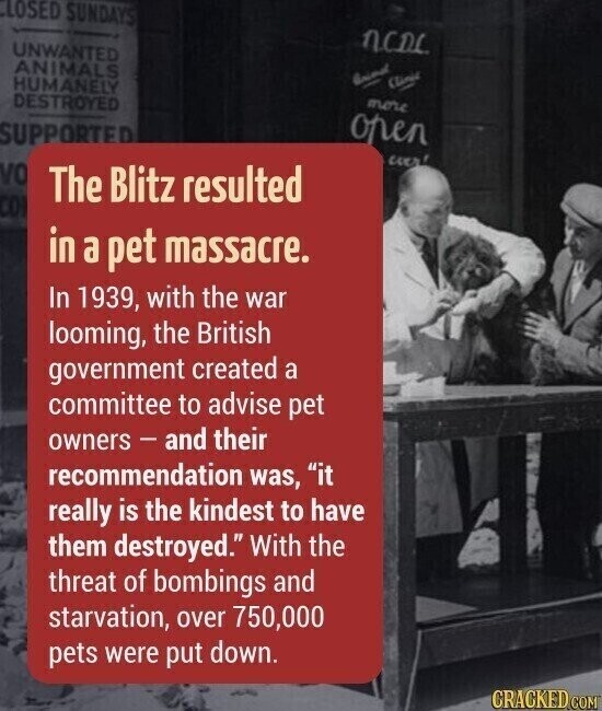 CLOSED SUNDAYS NCDL UNWANTED ANIMALS Clinic HUMANELY DESTROYED more open SUPPORTED ever VO The Blitz resulted CO in a pet massacre. In 1939, with the war looming, the British government created a committee to advise pet owners - and their recommendation was, it really is the kindest to have them destroyed. With the threat of bombings and starvation, over 750,000 pets were put down. GRACKED.COM