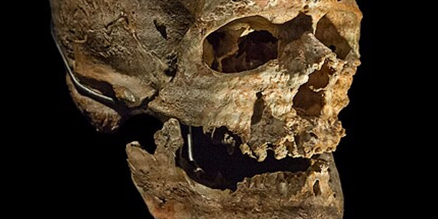 12 Bits of Trivia You Can Pop in the Microwave When You Get Home