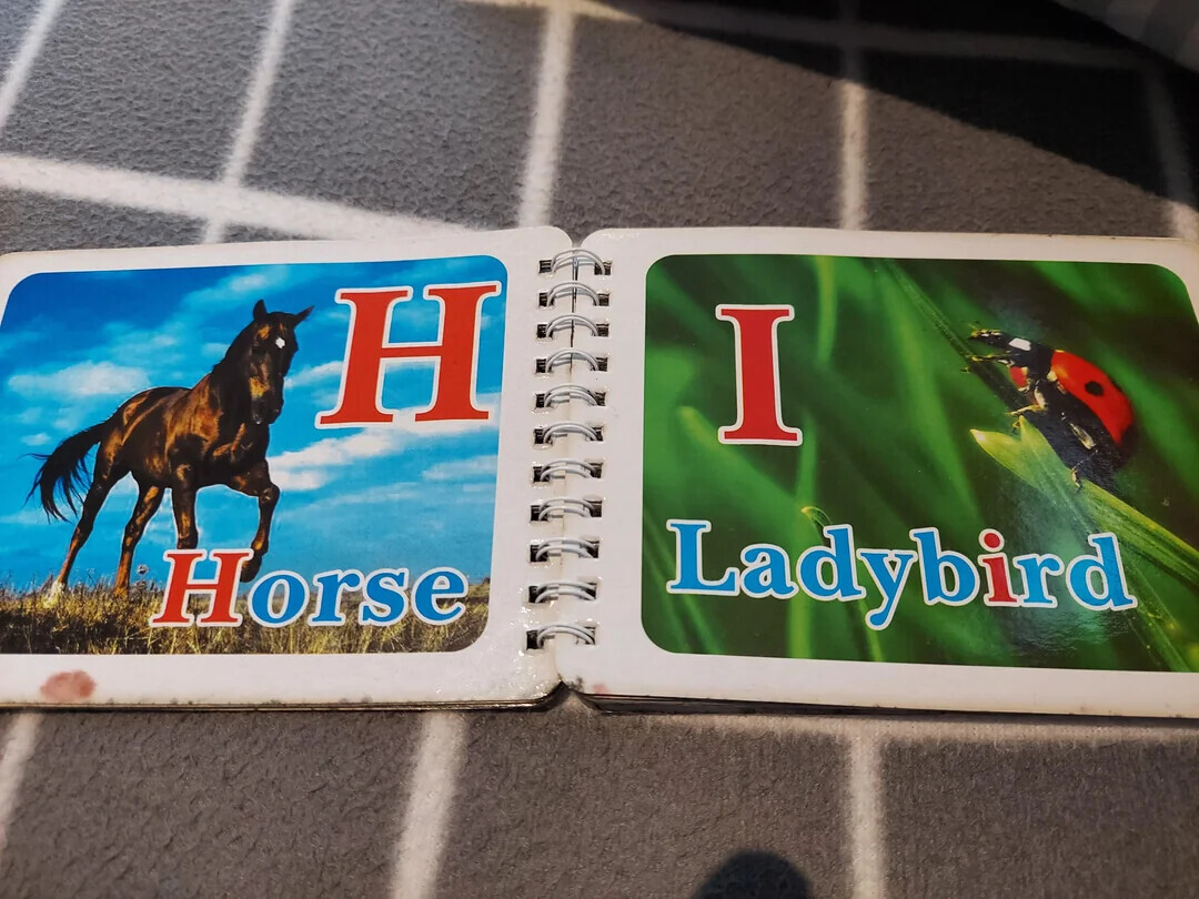 H I Horse Ladybird