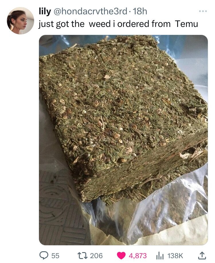 lily @hondacrvthe3rd 1 1 18h ... just got the weed i ordered from Temu 55 206 4,873 138K