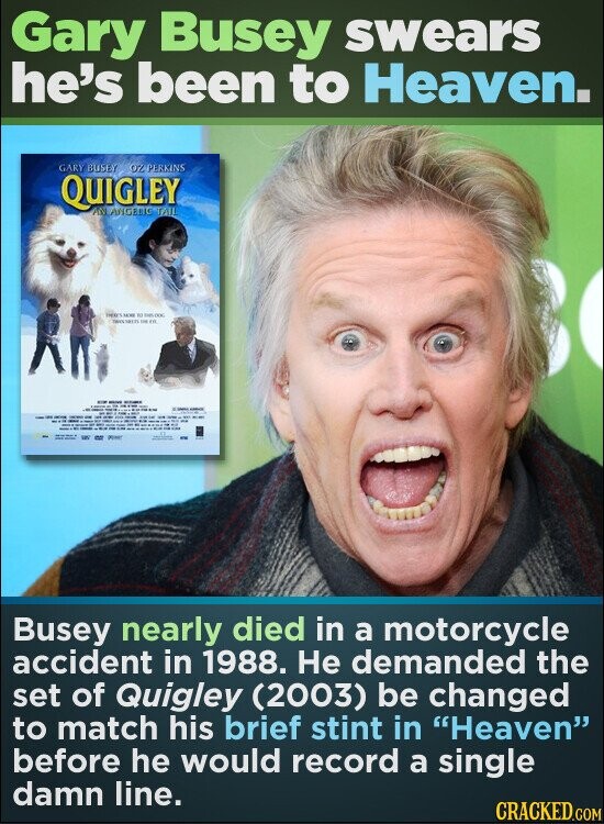 Gary Busey swears he's been to Heaven. GARY BUSLY OZ PERKINS QUIGLEY AN ANGELIC TALL THERES to THES - THE DE Busey nearly died in a motorcycle accident in 1988. Не demanded the set of Quigley (2003) be changed to match his brief stint in Heaven before he would record a single damn line. CRACKED.COM