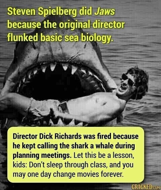 Steven Spielberg did Jaws because the original director flunked basic sea biology. Director Dick Richards was fired because he kept calling the shark a whale during planning meetings. Let this be a lesson, kids: Don't sleep through class, and you may one day change movies forever. CRACKED.COM