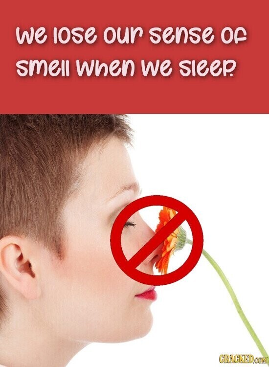 we lose our sense of smell When we sleep. GRACKED.COM