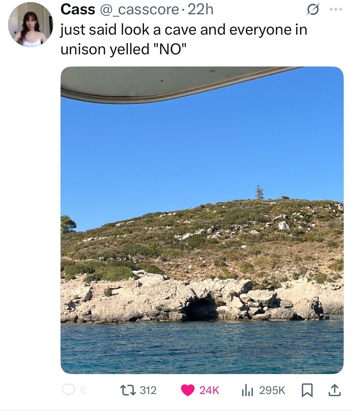 Cass @_casscore.2 22h S ... just said look a cave and everyone in unison yelled NO 6 312 24K 295K 