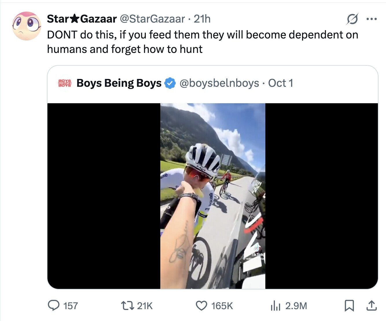 Star Gazaar @StarGazaar 21h ... DONT do this, if you feed them they will become dependent on humans and forget how to hunt Boys Being Boys @boysbelnboys Oct 1 exe Benexe Fuithaci LAXOR Tik Tok Pizza 157 21K 165K del 2.9M 