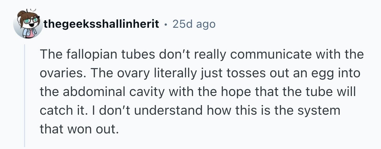 thegeeksshallinherit 25d ago The fallopian tubes don't really communicate with the ovaries. The ovary literally just tosses out an egg into the abdominal cavity with the hope that the tube will catch it. I don't understand how this is the system that won out. 