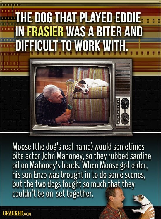 THE DOG THAT PLAYED EDDIE IN FRASIER WAS A BITER AND DIFFICULT TO WORK WITH. Moose (the dog's real name) would sometimes bite actor John Mahoney, so they rubbed sardine oil on Mahoney's hands. When Moose got older, his son Enzo was brought in to do some scenes, but the two dogs fought so much that they couldn't be on set together. CRACKED.COM