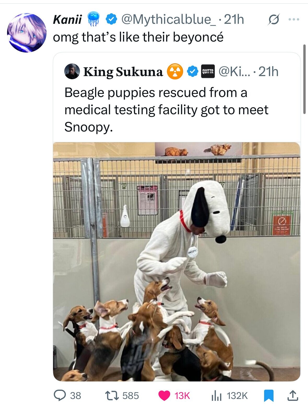 Kanii @Mythicalblue_ .21h G ... omg that's like their beyoncé @Ki... 21h King Sukuna QUITTO QUITIR Beagle puppies rescued from a medical testing facility got to meet Snoopy. - SAMPLE - ٠٩ kor-mai 38 585 13K 132K 
