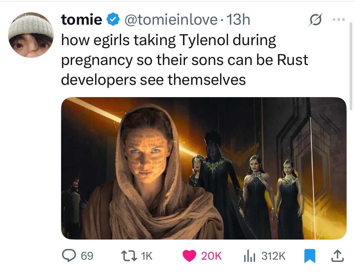 tomie @tomieinlove 13h how egirls taking Tylenol during pregnancy so their sons can be Rust developers see themselves g 2070 TAM 69 1K 20K 312K 