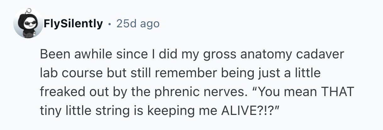 FlySilently . 25d ago Been awhile since I did my gross anatomy cadaver lab course but still remember being just a little freaked out by the phrenic nerves. You mean THAT tiny little string is keeping me ALIVE?!? 