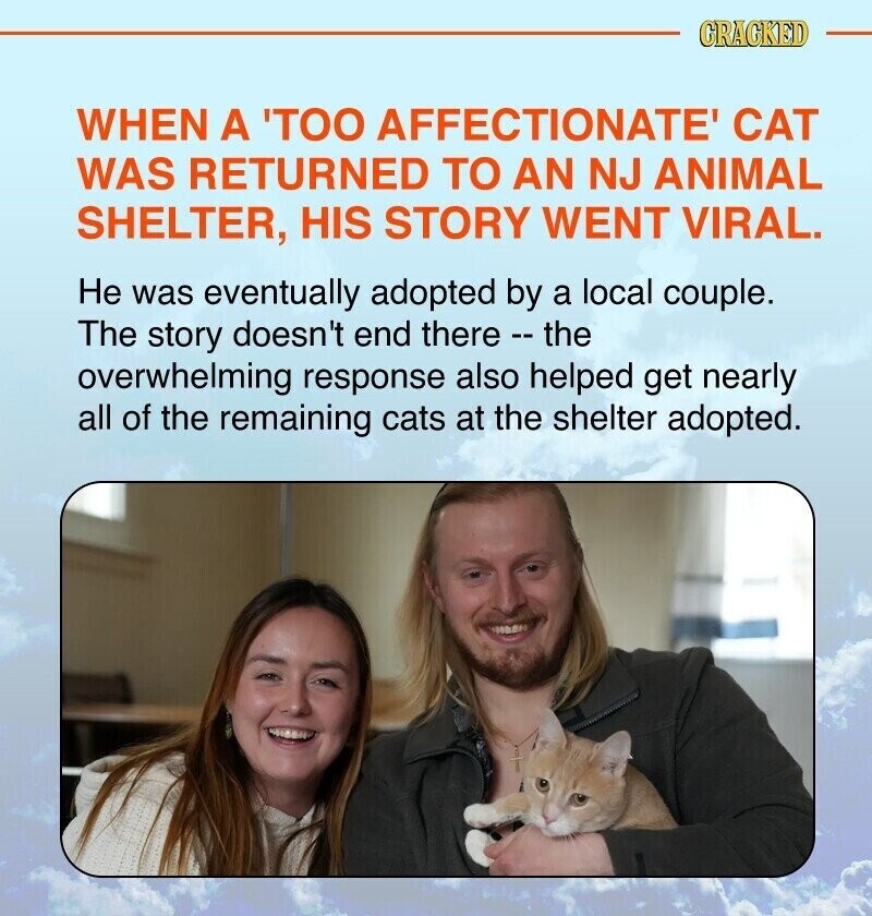 CRACKED WHEN A 'TOO AFFECTIONATE' CAT WAS RETURNED TO AN NJ ANIMAL SHELTER, HIS STORY WENT VIRAL. Не was eventually adopted by a local couple. The story doesn't end there - the overwhelming response also helped get nearly all of the remaining cats at the shelter adopted.