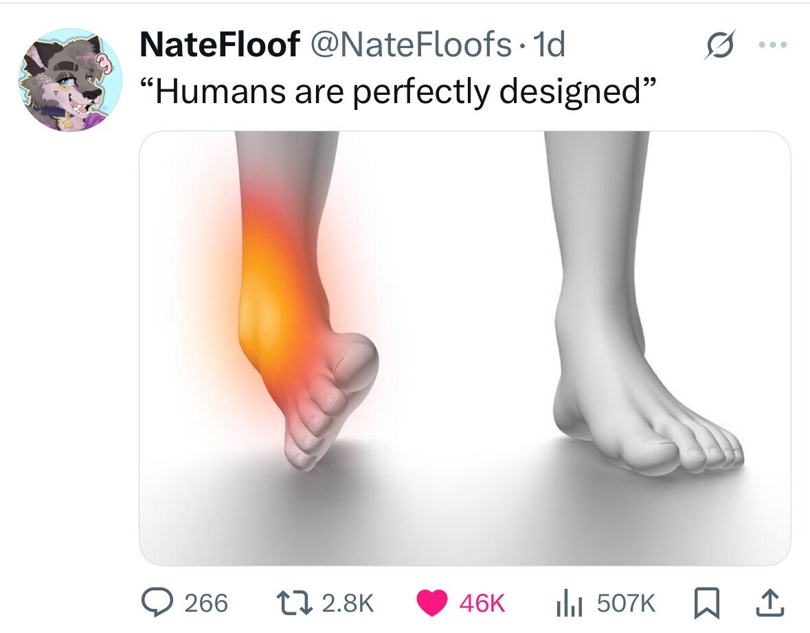 NateFloof @NateFloofs 1d ... Humans are perfectly designed 266 2.8K 46K 507K 