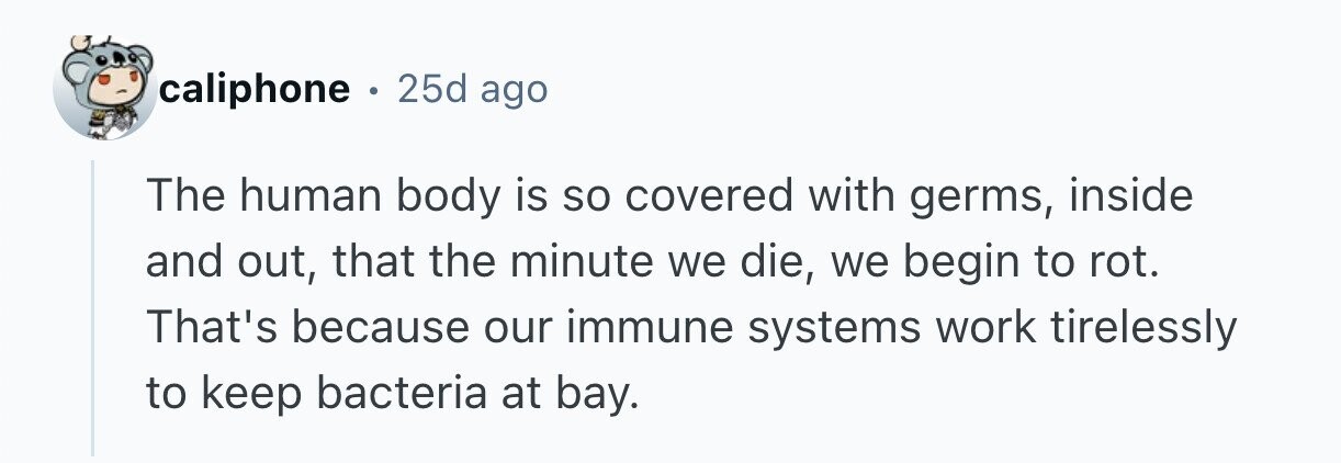caliphone . 25d ago The human body is so covered with germs, inside and out, that the minute we die, we begin to rot. That's because our immune systems work tirelessly to keep bacteria at bay. 