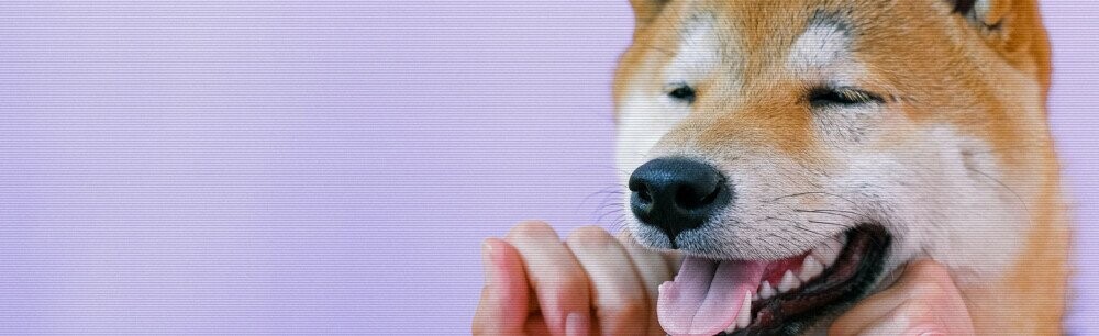 What's the Deal with Dogecoin?