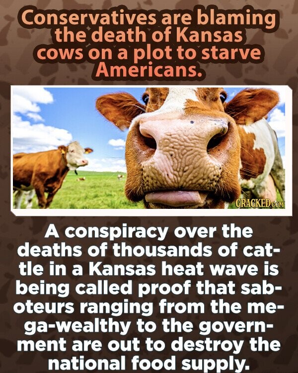 Conservatives are blaming the death of Kansas COWS on a plot to starve Americans. CRACKED.COM A conspiracy over the deaths of thousands of cat- tle in a Kansas heat wave is being called proof that sab- oteurs ranging from the me- ga-wealthy to the govern- ment are out to destroy the national food supply.