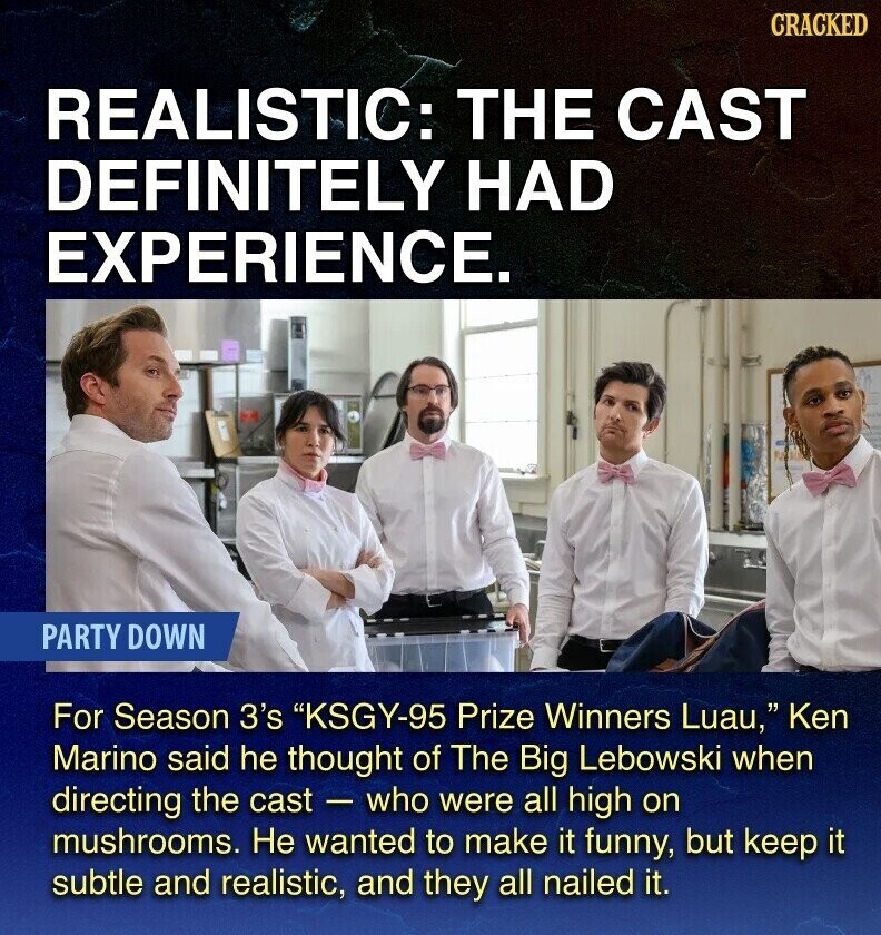 GRACKED REALISTIC: THE CAST DEFINITELY HAD EXPERIENCE. PARTY DOWN For Season 3's KSGY-95 Prize Winners Luau, Ken Marino said he thought of The Big Lebowski when directing the cast - who were all high on mushrooms. Не wanted to make it funny, but keep it subtle and realistic, and they all nailed it.
