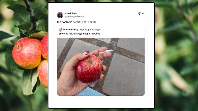 62 of the Funniest Tweets from the Week of August 4, 2025