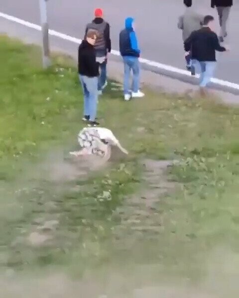 Photos Before and After People Acted Like Idiots