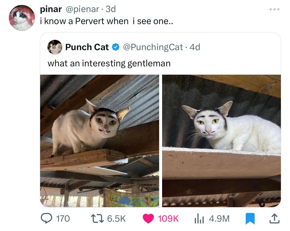 pinar @pienar 3d I : know a Pervert when i see one.. Punch Cat @PunchingCat.4d what an interesting gentleman 170 6.5K 109K 4.9M
