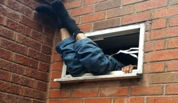 Crimes So Dumb They're Not Worth Columbo's Time