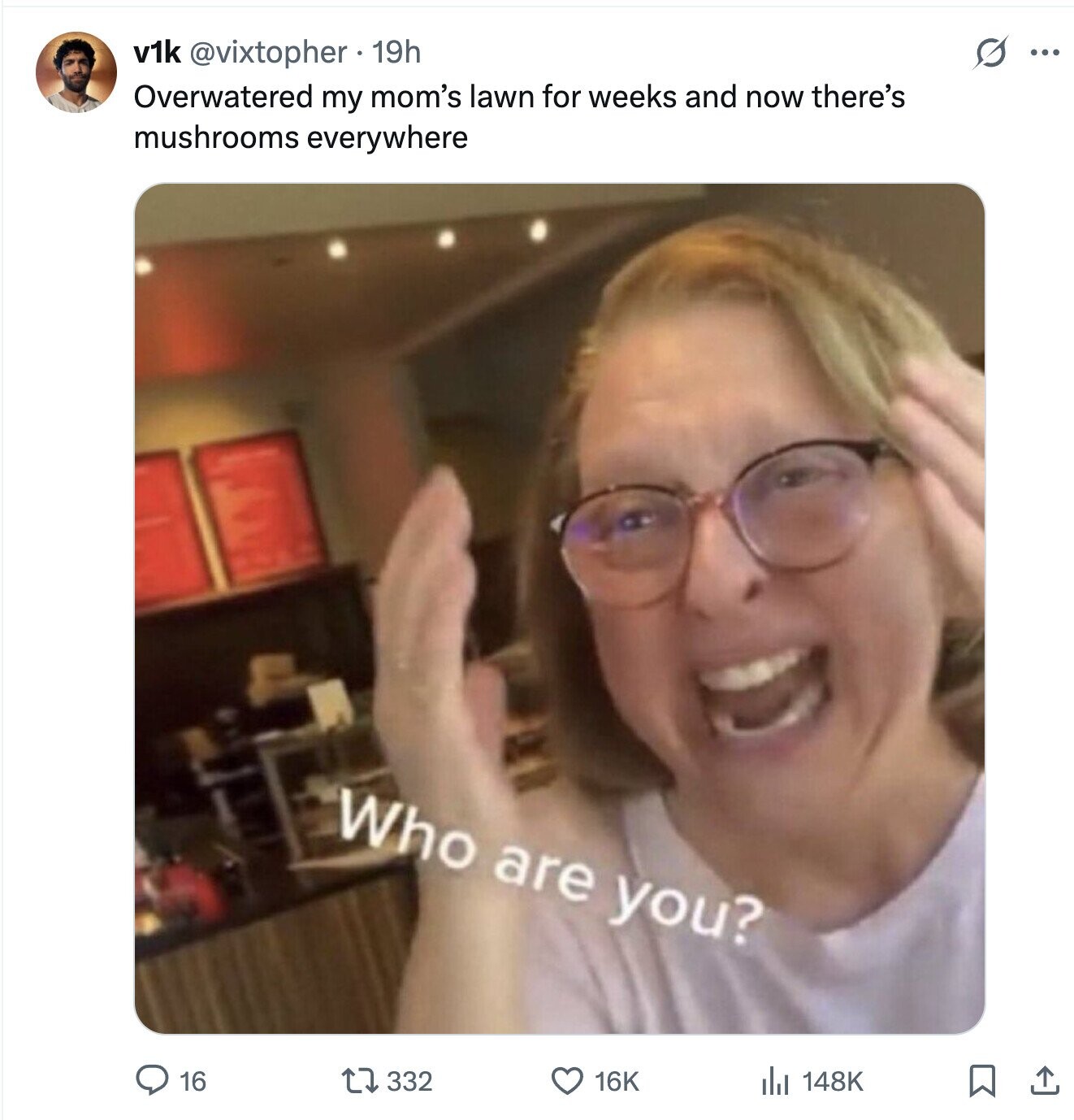 O ... v1k @vixtopher 19h Overwatered my mom's lawn for weeks and now there's mushrooms everywhere Who are you? 16 332 16K 148K 