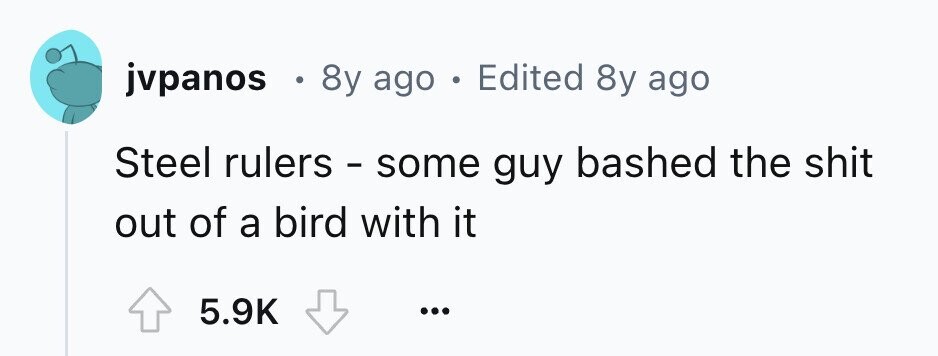 jvpanos . 8y ago . Edited 8y ago Steel rulers - some guy bashed the shit out of a bird with it 5.9K ...