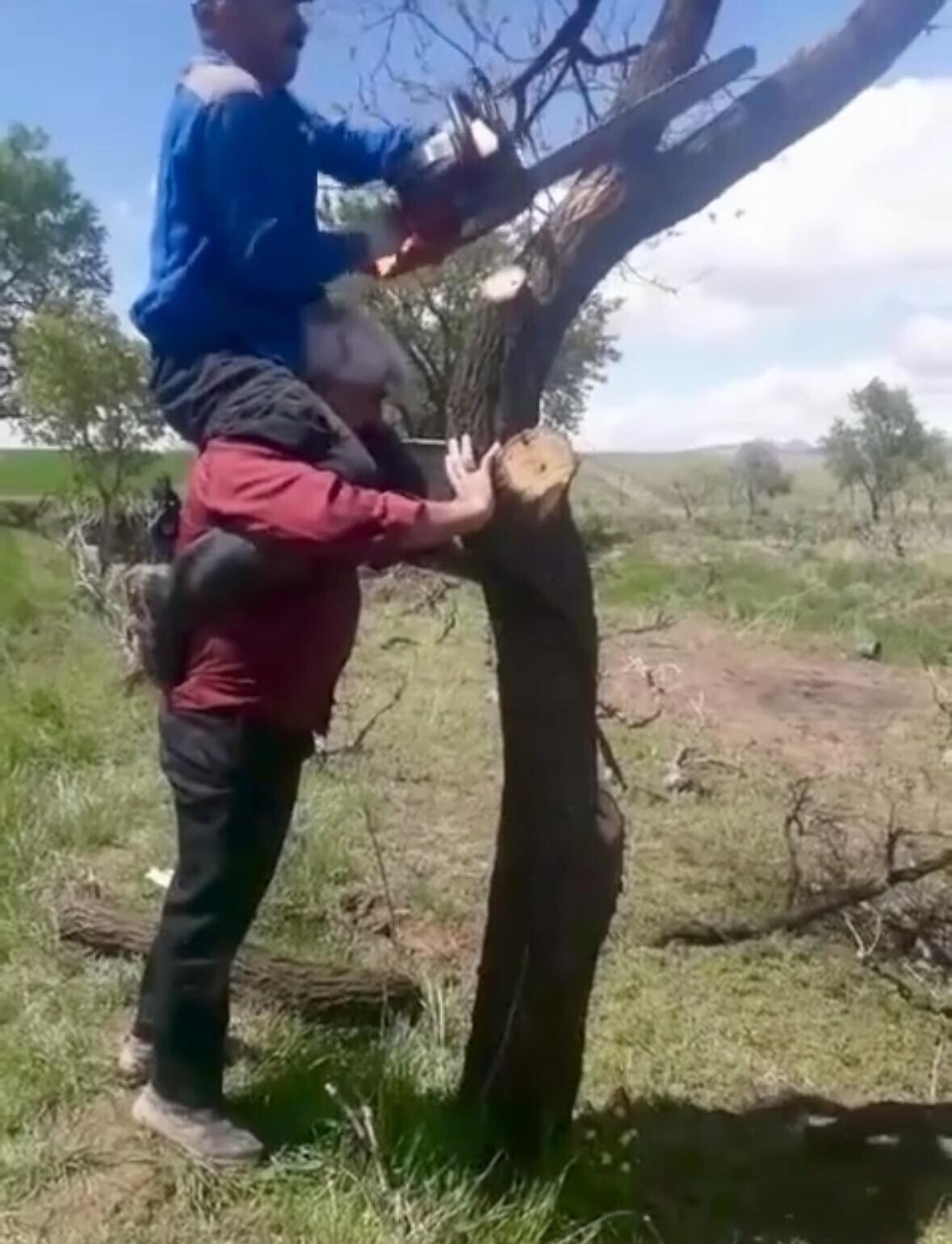 20 Pics Where an Eye Roll is the Only Logical Response