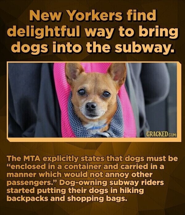 New Yorkers find delightful way to bring dogs into the subway. CRACKED.COM The MTA explicitly states that dogs must be enclosed in a container and carried in a manner which would not annoy other passengers. Dog-owning subway riders started putting their dogs in hiking backpacks and shopping bags.