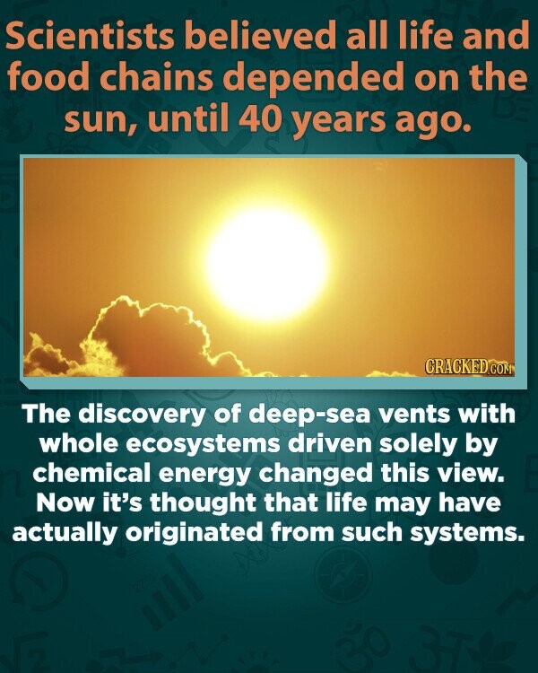 Scientists believed all life and food chains depended on the sun, until 40 years ago. CRACKED.COM The discovery of deep-sea vents with whole ecosystems driven solely by chemical energy changed this view. Now it's thought that life may have actually originated from such systems. 27%