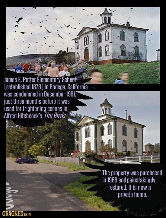 James E. Potter Elementary School (established 1873) in Bodega, California was condemned in December 1961, just three months before it was used for frightening scenes in Alfred Hitchcock's The Birds The property was purchased in 1966 and painstakingly restored. It is now a private home. CRACKED.COM