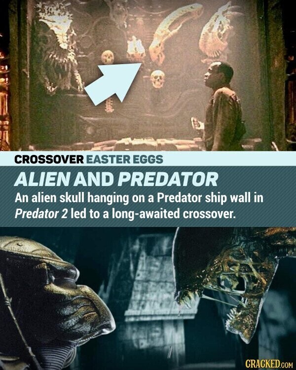 CROSSOVER EASTER EGGS ALIEN AND PREDATOR An alien skull hanging on a Predator ship wall in Predator 2 led to a long-awaited crossover. CRACKED.COM