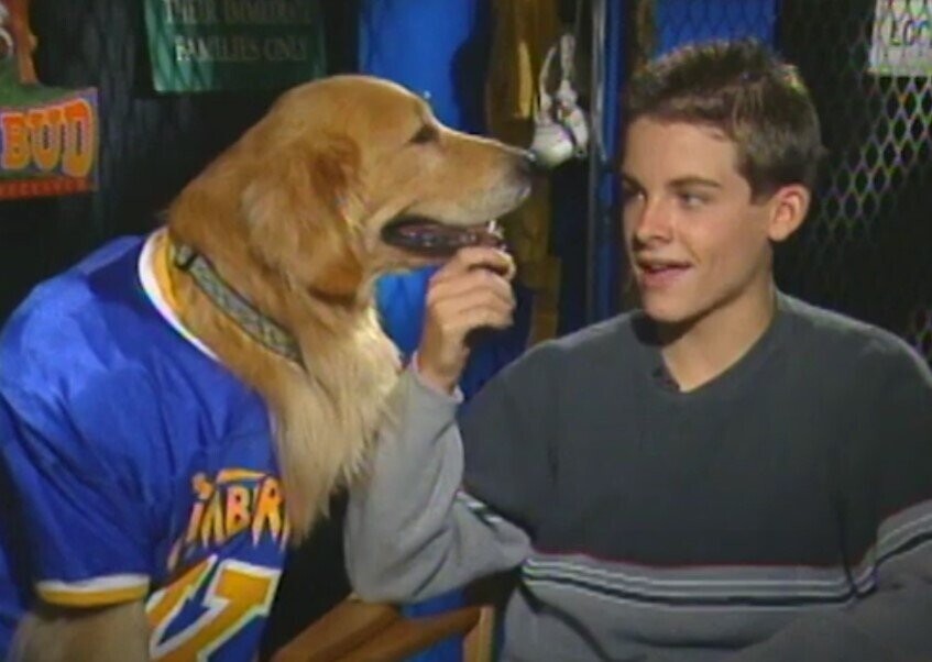 12 Animals That Will Forever Be More Successful Than Your Actor Friend