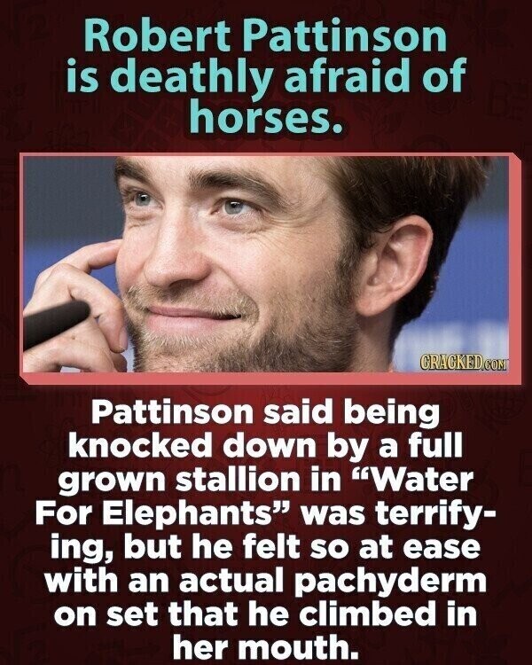 Robert Pattinson is deathly afraid of horses. GRACKED.COM Pattinson said being knocked down by a full grown stallion in Water For Elephants was terrify- ing, but he felt so at ease with an actual pachyderm on set that he climbed in her mouth.